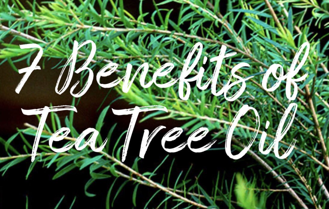 7 Benefits of Tea Tree Oil