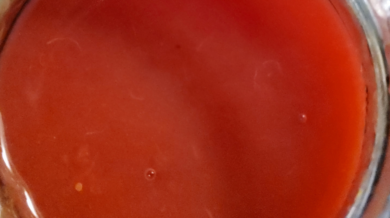 Highbush Cranberry Sauce