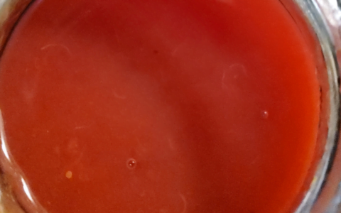 Highbush Cranberry Sauce