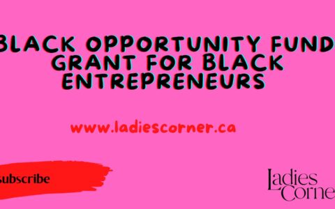 Black Opportunity Fund |Grant for Black Entrepreneurs