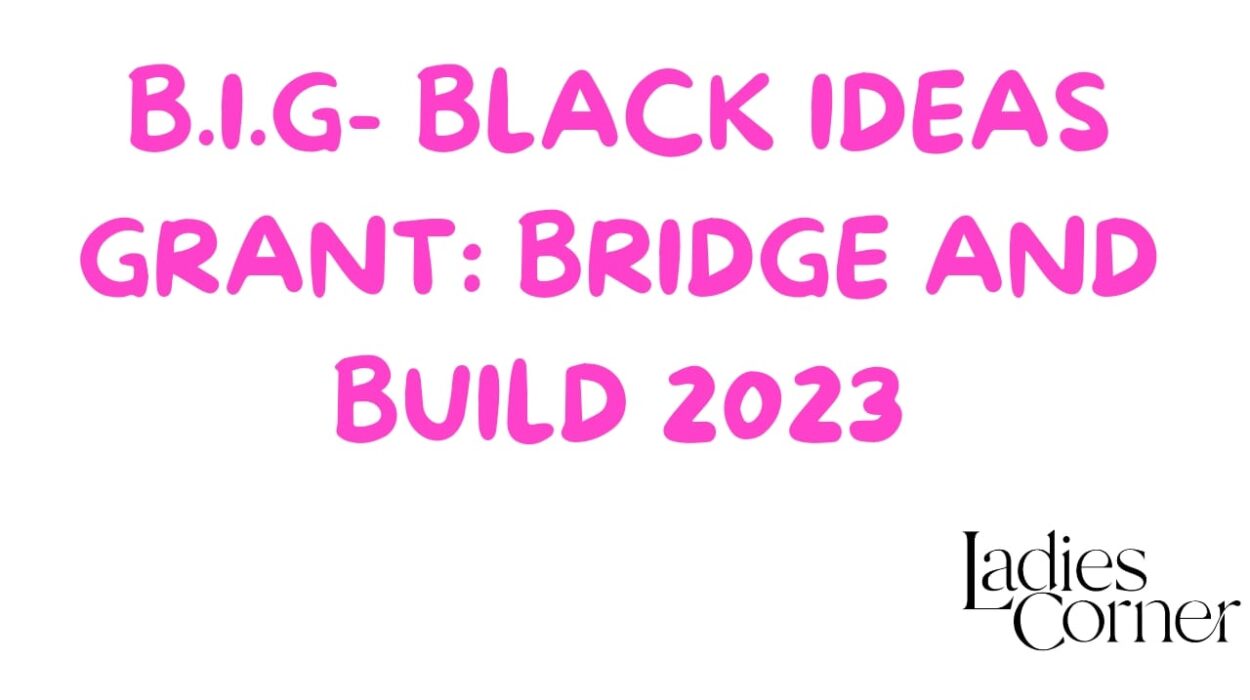 The Bridge and Build Fund provides one-year flexible funding to increase the capacity of Black-led, Black-focused, and Black-serving charitable and non-profit organizations and groups as they combat anti-Black racism and improve social and economic outcomes for Black communities.