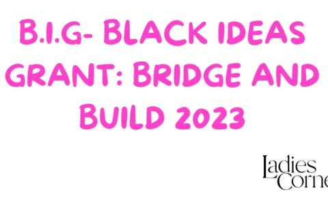 The Bridge and Build Fund provides one-year flexible funding to increase the capacity of Black-led, Black-focused, and Black-serving charitable and non-profit organizations and groups as they combat anti-Black racism and improve social and economic outcomes for Black communities.