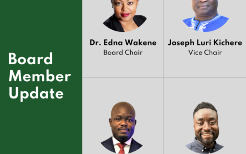 Africa Centre is pleased to announce changes in our board leadership, with a shift in roles that brings renewed expertise to our organization. Dr. Edna Wakene steps into the role of Board Chair, joined by Joseph Luri Kichere as Vice-chair. Tony Agbonkhese will serve as Treasurer and Andrew Owusu as Secretary.