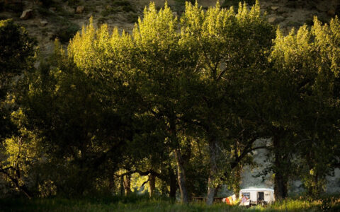 A list of campgrounds offering the discount is available at albertaparks.ca. Seniors can take advantage of this discount by booking through shop.albertaparks.ca, by phone or at first-come, first-served campgrounds. Bookings for May 1 arrivals will open on January 31. Quick facts Seniors can access the discount online at shop.albertaparks.ca, by phone or through self-registration at applicable first-come, first-served campgrounds. To receive the discount, eligible seniors must be the camping permit holder, have valid identification and be part of the camping party for the entire stay. Alberta’s government is responsible for about 14,000 campsites across the province within the Alberta Parks system, 9,000 of which can be reserved and 5,000 that are first-come, first-served. Around 6,400 campsites and 142 front country campgrounds will be eligible for the seniors discount. In 2024, there were more than 228,000 camping reservations in Alberta Parks. Seniors purchase about 16 per cent of reservable camping nights in the system.