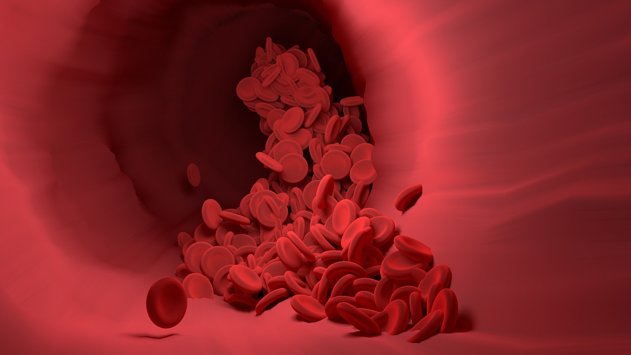 Menstrual Blood May Hold the Key to Reversing Osteoarthritis Damage