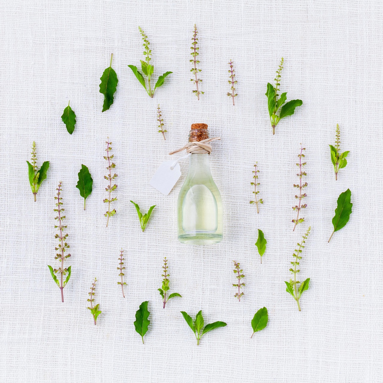 Nigeria's Algorithmic Apothecary: The Rising Health Risks of Unverified Herbal Cures in 2026