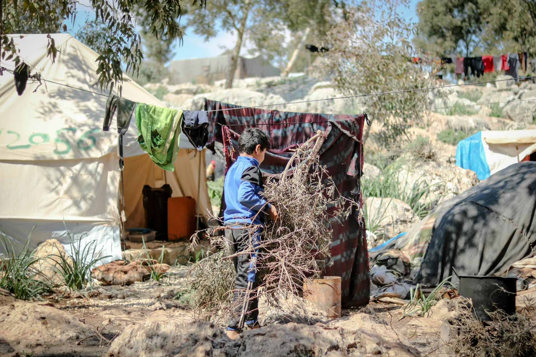Understanding Refugees in 2026: Beyond Headlines and Hashtags
