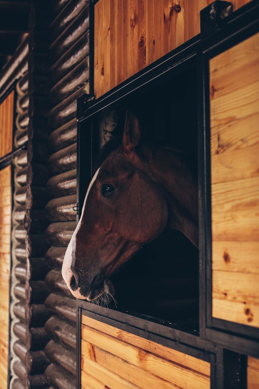 Winnipeg Racetrack Incident Sparks 2026 Push for Mandatory In-Stable Surveillance