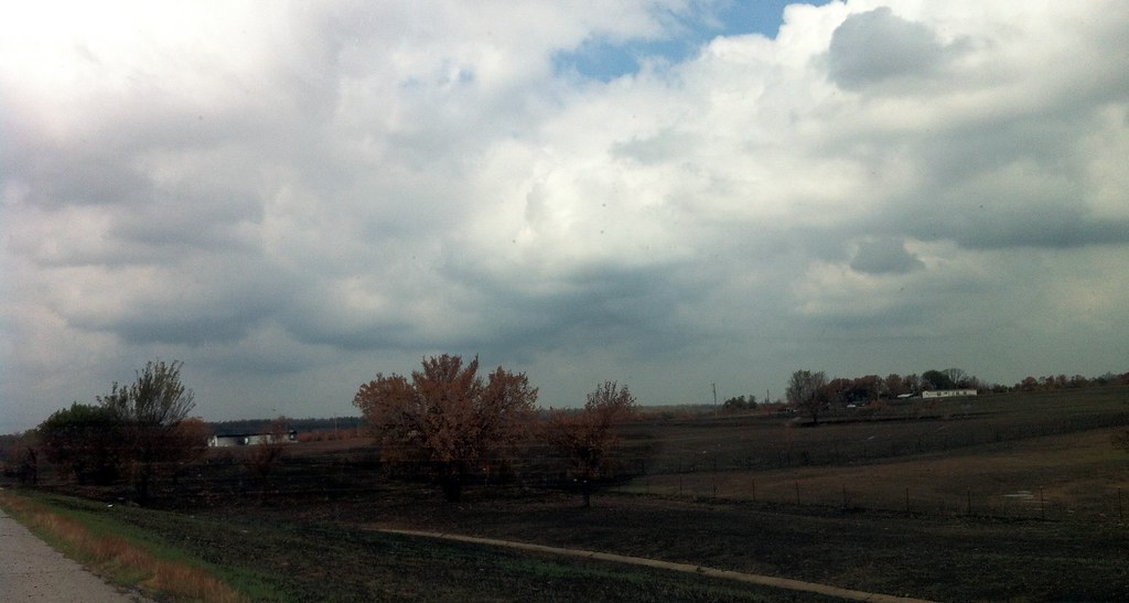 Edmonton Grassfires Spark Concern