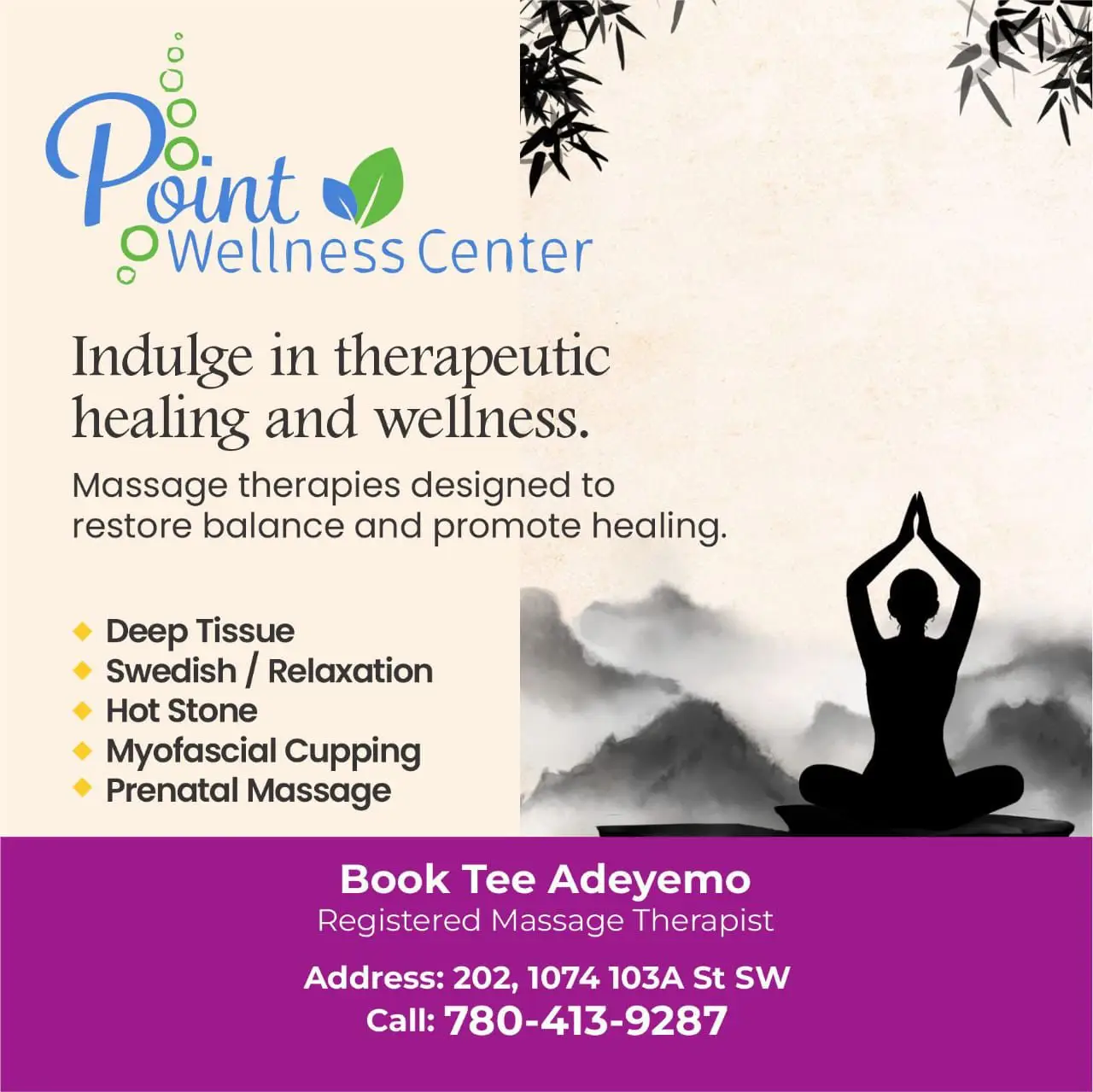 Point Wellness Center
