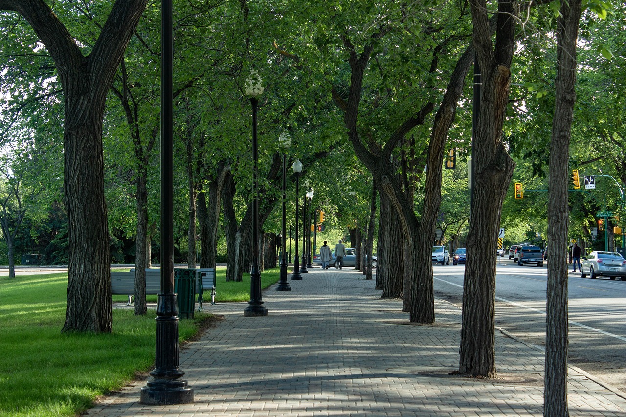 Saskatoon Dragonfly Delivery Strike Intensifies Over Safety and Compensation Concerns