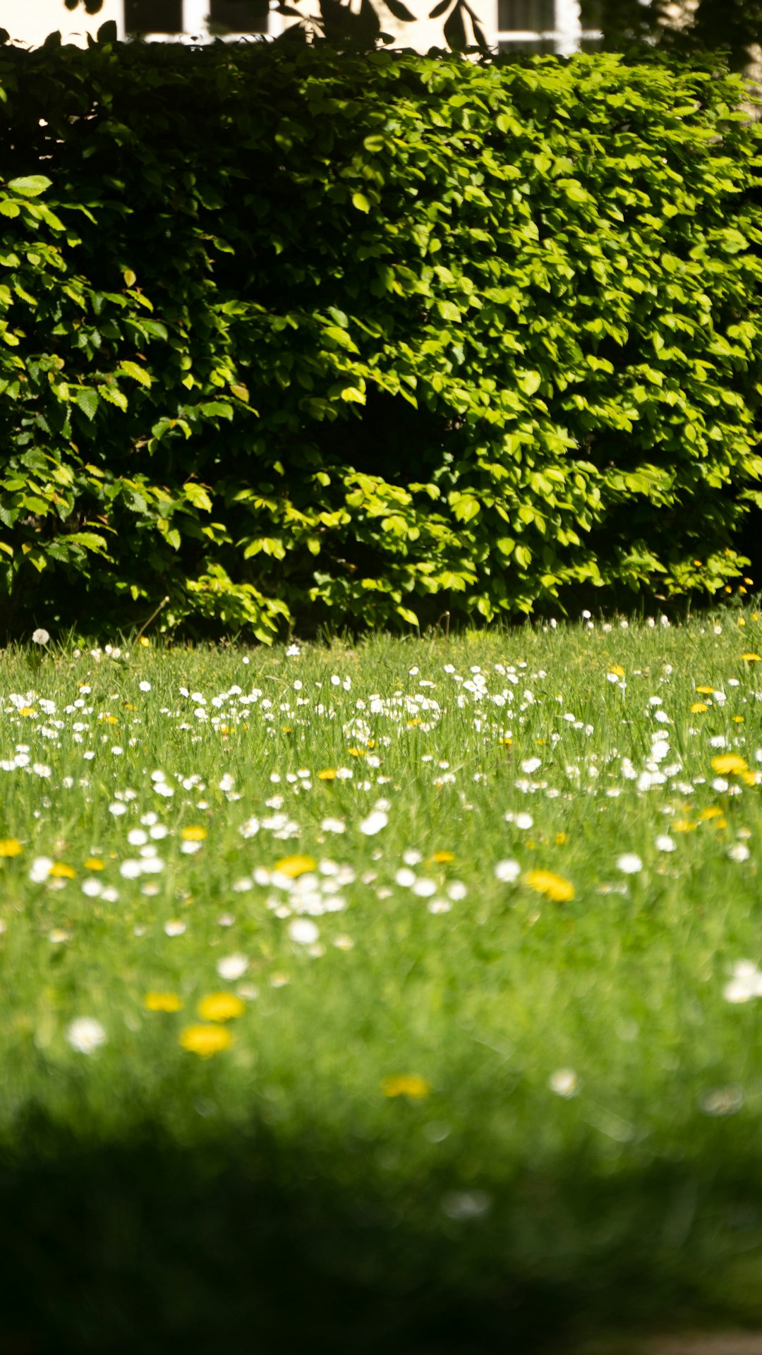 Spring Tech Gadgets 2026: The New Standard for Canadian Home Automation and Leisure