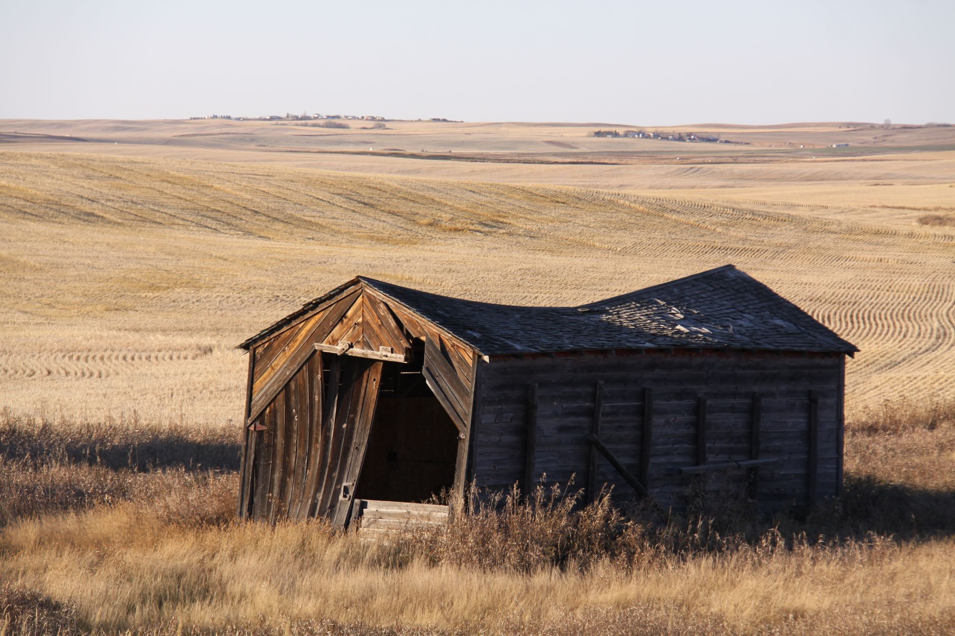 Alberta Separation Billboard Remains in Taber Amid Growing Regional Autonomy Debates
