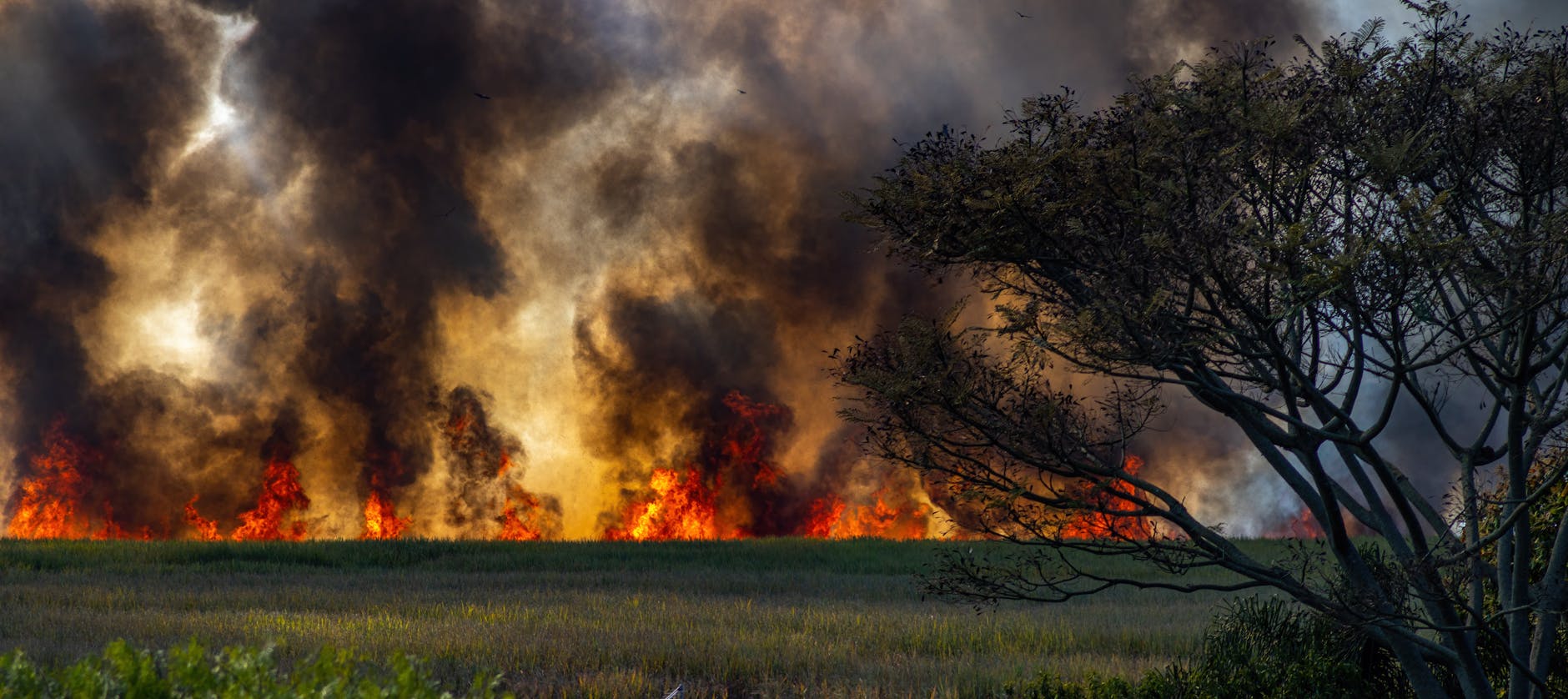 Extreme Weather Alerts 2026: Managing Heat, Smoke, and Floods in Western Canada