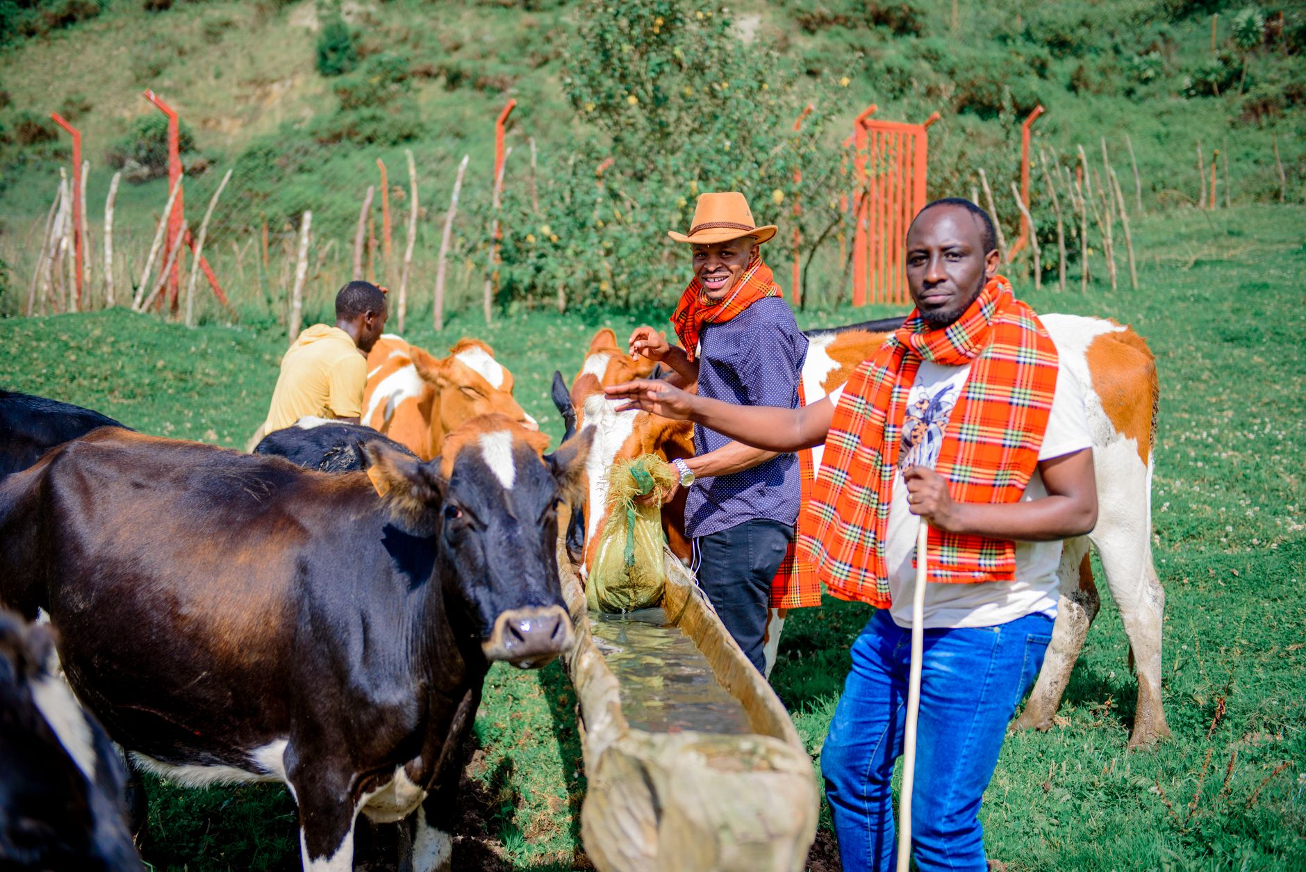 Kenyan Graduates Pivot to AI-Driven Agriculture Amid Shifting Labour Market