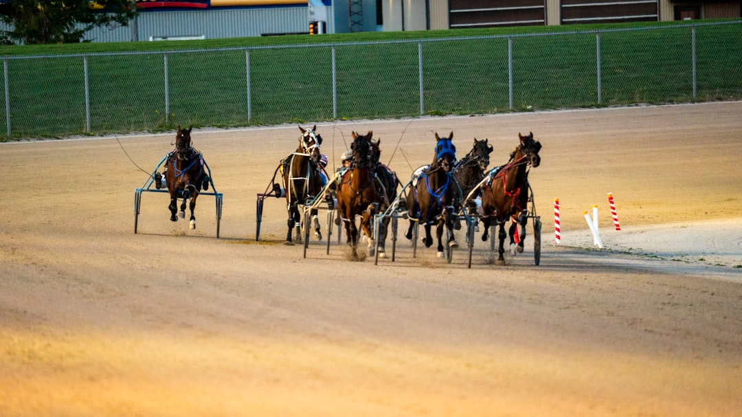 Odds On Mr Mamba Dominates 2026 North America Cup at Woodbine Mohawk Park