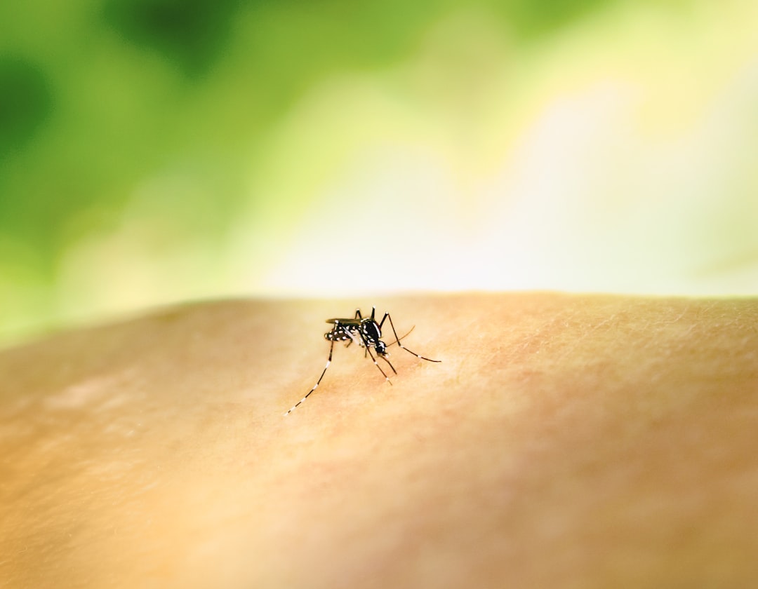 The Science Behind Why Scratching Bug Bites Worsens the Problem