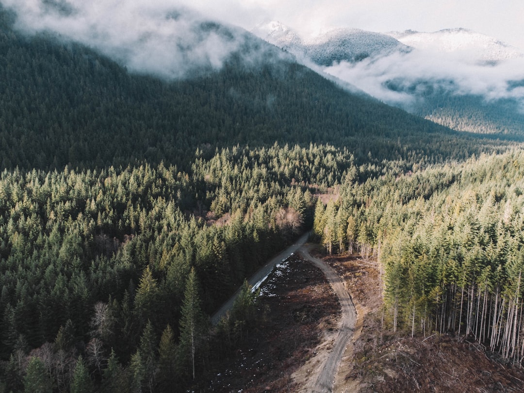 Alberta Submits West Coast Oil Pipeline Project, Proposing Southern British Columbia Route