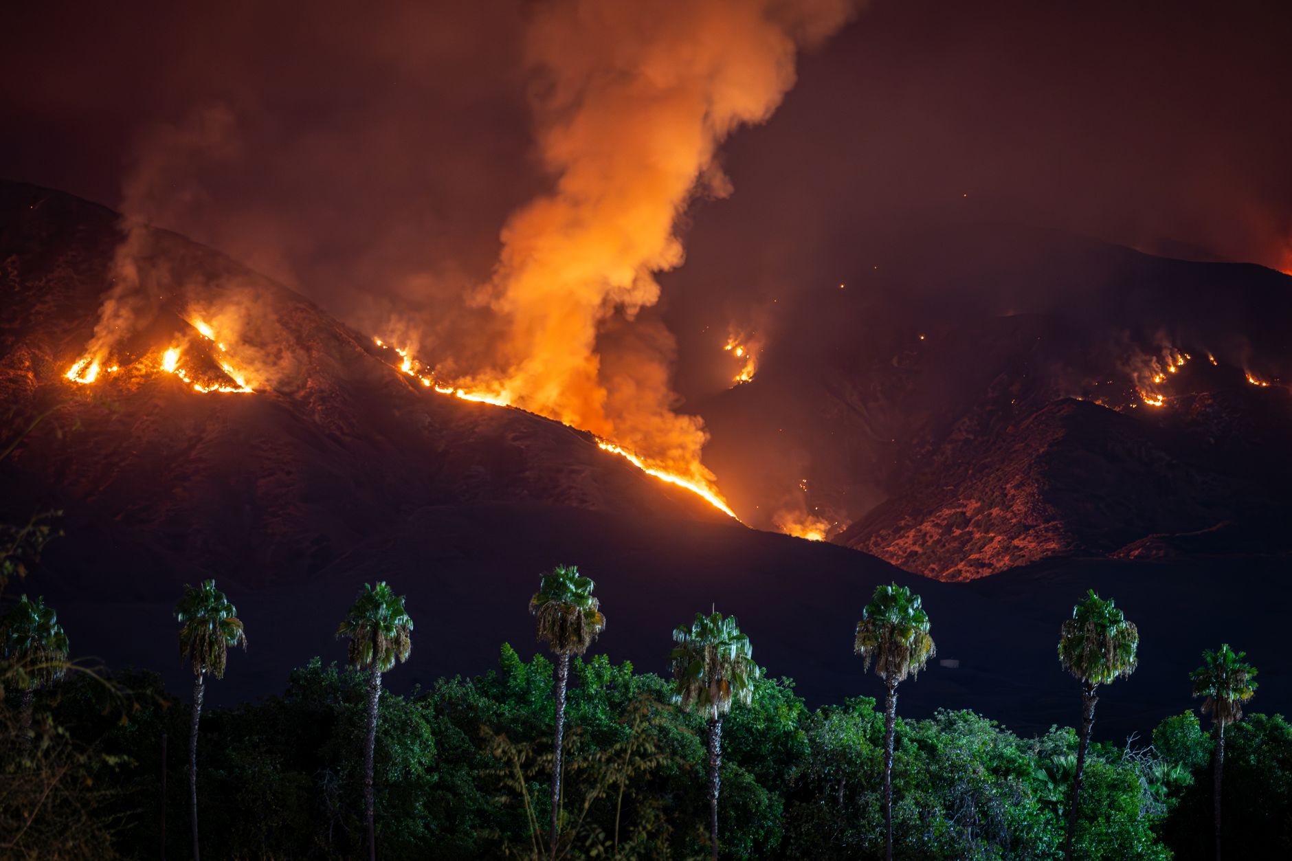 European Wildfire Crisis: Over 250,000 Evacuated as Blazes Threaten Madrid and Bordeaux