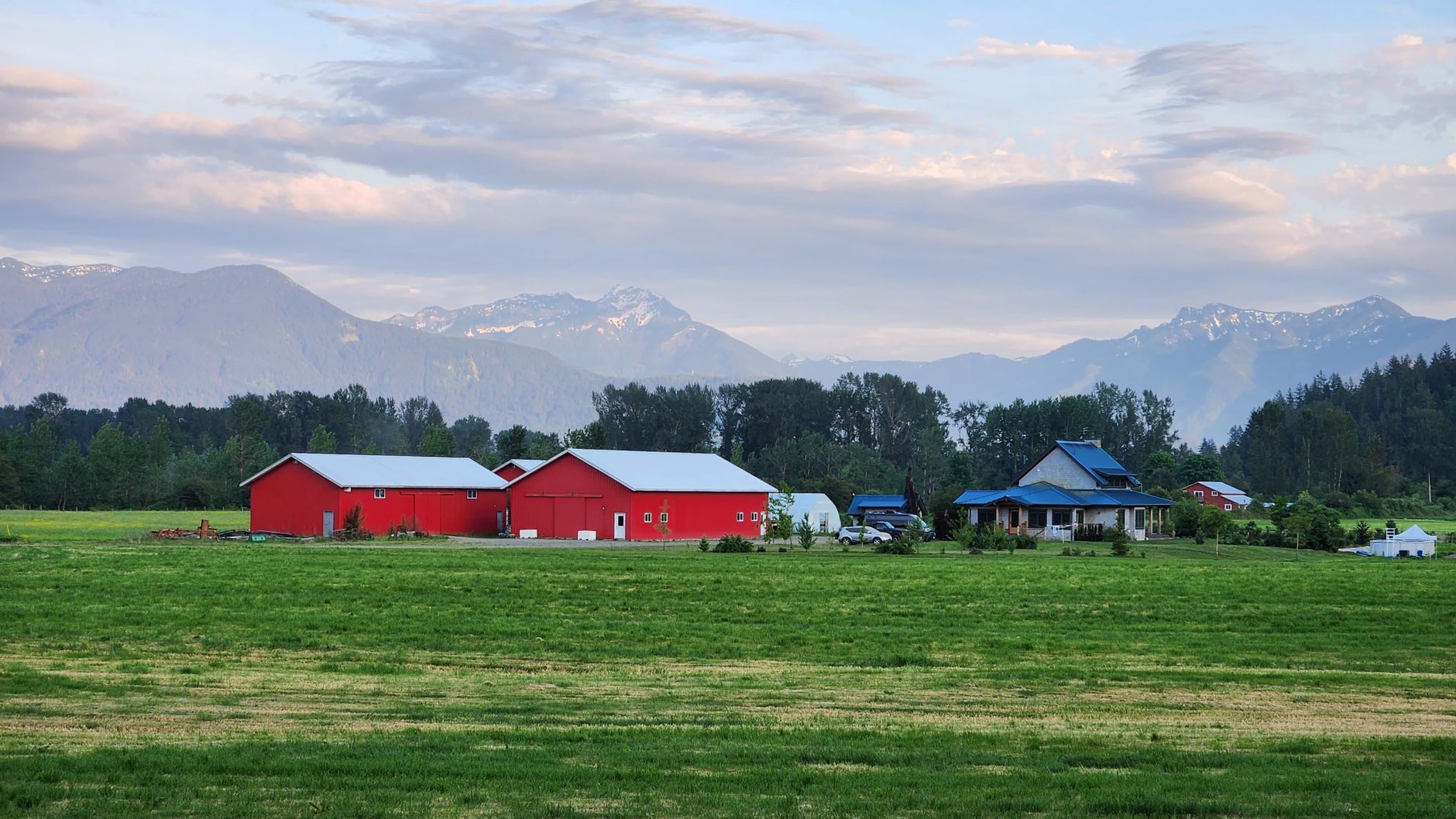 Defending the Homestead: Why B.C. Residents are Resisting Evacuation Orders Amid Rising Wildfire Threats