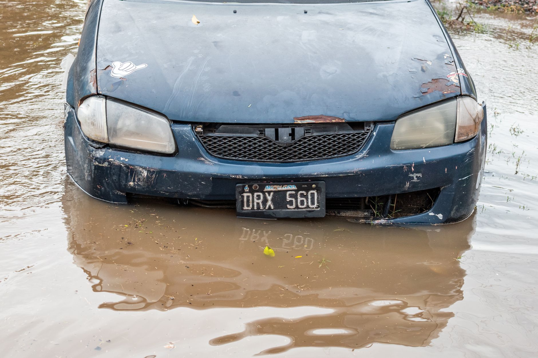 Edmonton Flash Flooding Paralyzes Transit and Roads After Severe Thunderstorms