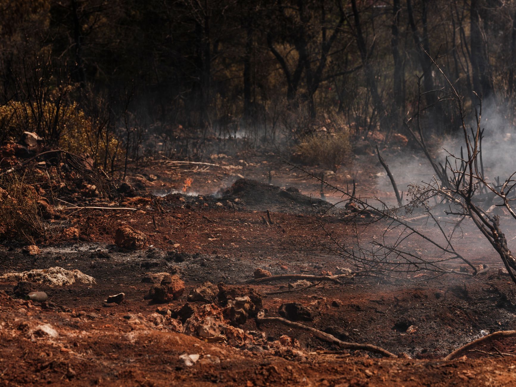 Spain Wildfire Crisis: Hundreds Evacuated as Madrid Forest Fire Burns 13,000 Hectares