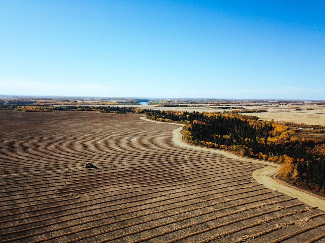 Tofield, Alberta Faces Prolonged Flood Recovery After Recent Deluge