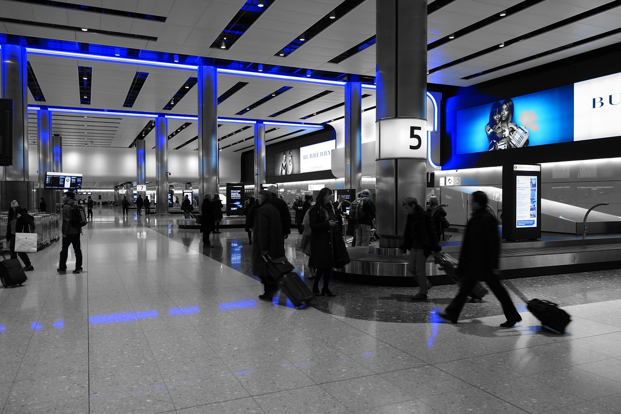 Costly WestJet Strike Threat Forces Edmonton Dog Competitor to Pay Thousands in Rebooking Fees