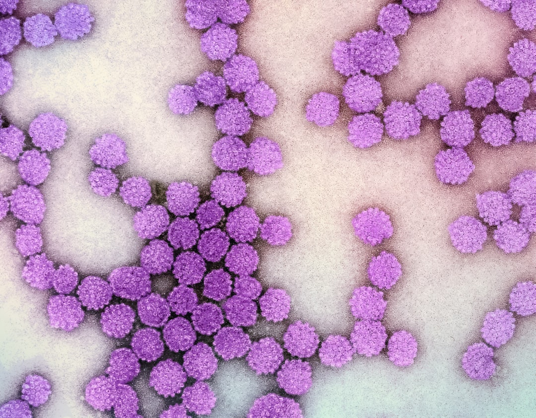 Stanford Scientists Synthesize World's First AI-Designed Virus to Target E. Coli