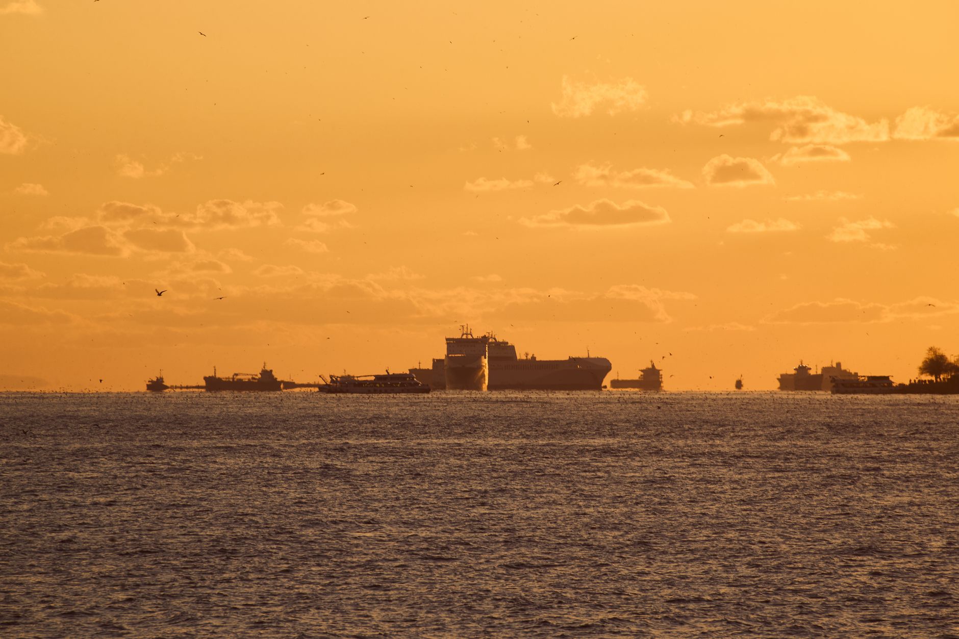 Strait of Hormuz Diplomatic Talks Stall as Iran Suspends Direct Contact